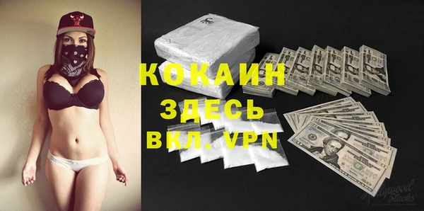 крисы Зерноград