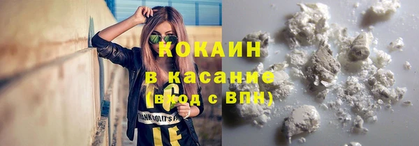 крисы Зерноград