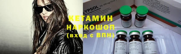 крисы Зерноград