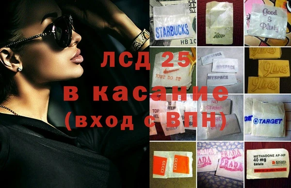 крисы Зерноград