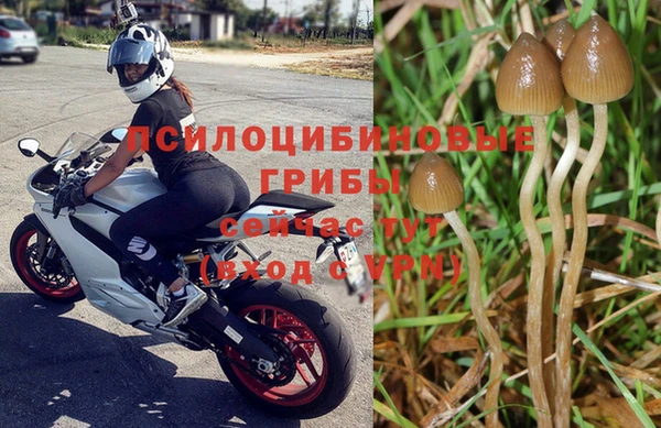 MDMA Premium VHQ Зеленокумск